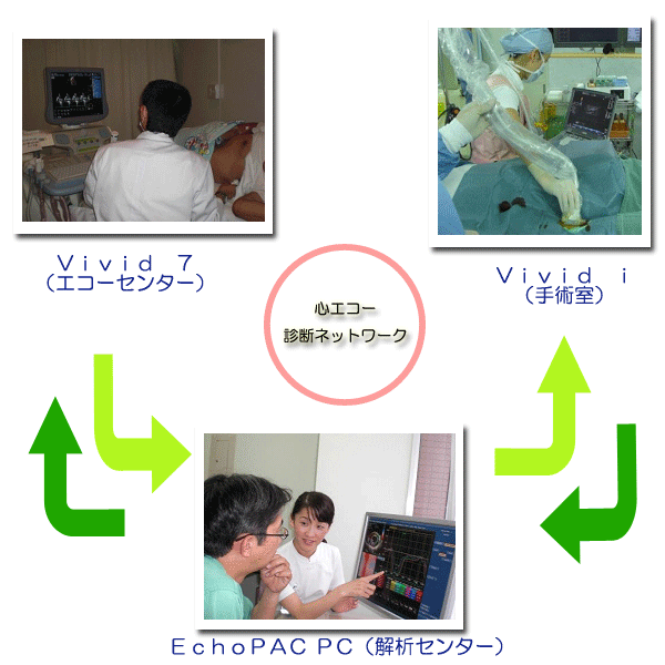 心エコー診断ネットワーク